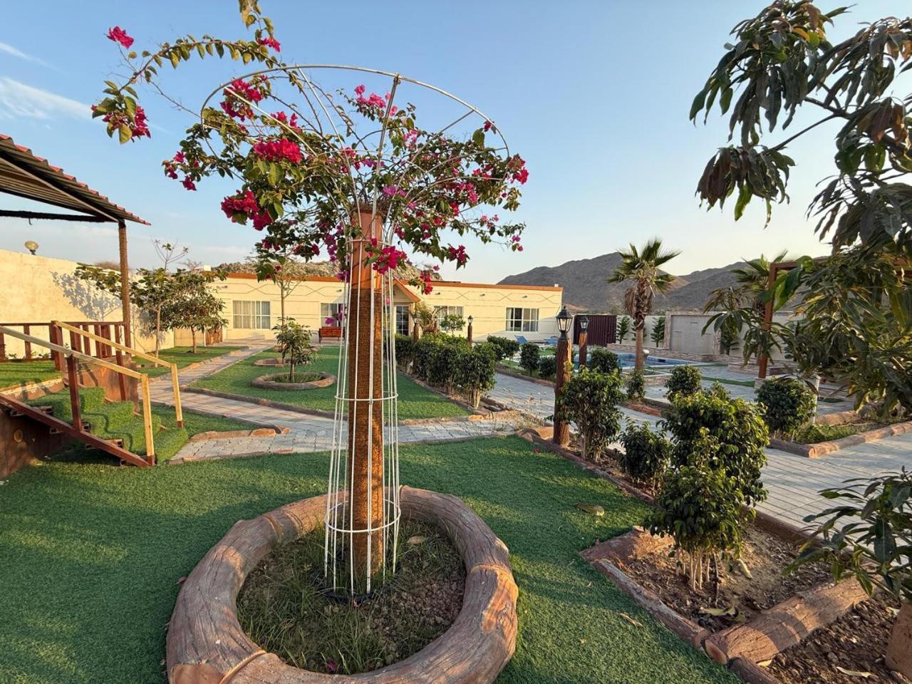 800 Mountain Resort Vacation House Fudschaira Exterior foto